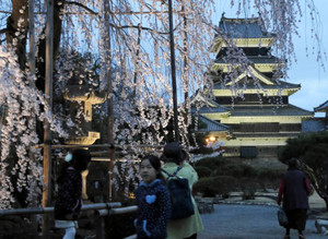 ライトアップされたサクラを眺める観光客ら＝松本市の国宝松本城で