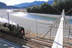 「塩郷の吊橋」の下を通過する大井川鉄道のＳＬ＝いずれも静岡県川根本町で