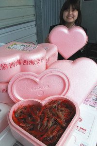 バレンタインデーに向け、生きた甘エビが詰め込まれたハート形の箱＝富来漁港で