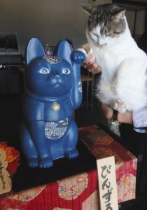 看板猫（右）と併せて人気の「びんずる尊猫」＝高森町の瑠璃寺瑠璃の里会館で