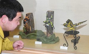 紙で精巧に作られたチョウやセミ＝石川県白山市の県ふれあい昆虫館で