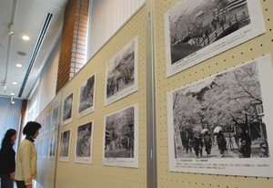 昭和の花見の光景などを紹介している写真展＝小浜市の若狭歴史博物館で