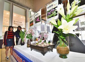 北陸新幹線の利用客を迎える飛越能各地の花々＝ＪＲ新高岡駅で