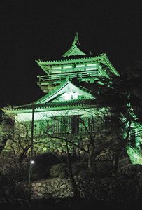 世界緑内障週間に合わせ緑色のライトで浮かび上がる丸岡城＝坂井市丸岡町で