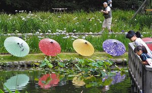 色鮮やかな和傘が展示された徳川園＝名古屋市東区で