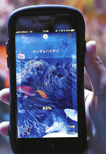 魚類の画像から種類を判別するアプリ＝鳥羽市鳥羽３の鳥羽水族館で（同水族館提供）