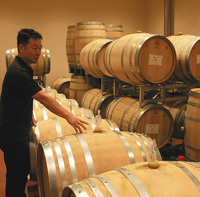 オークのたるが並ぶサンサンワイナリーの醸造庫＝いずれも長野県塩尻市で