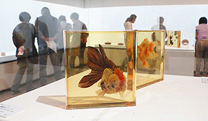 樹脂の中を泳ぐように描かれた金魚＝刈谷市美術館で