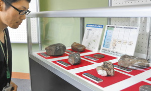 貴重なアンモナイトの化石などが展示されている企画展「ジュラシック・アンモナイト」＝大野市和泉郷土資料館で