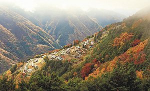 薄日で輝きを増す、下栗の里を囲むように色づいた山々の紅葉＝飯田市上村で