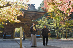 紅葉を楽しむ参拝者たち＝美濃市大矢田の大矢田神社で