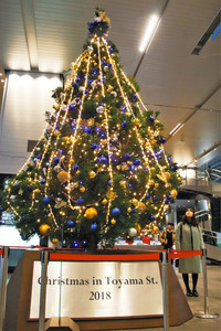 きらびやかに輝く高さ５メートルのクリスマスツリー
