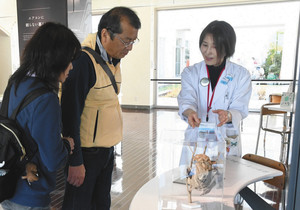 来館者と会話をしながらエネルギーの活用法などを解説する大木雪子さん（右）＝静岡市駿河区のふじのくに地球環境史ミュージアムで