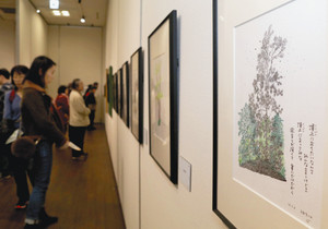 倉本聡さんが描く植物や動物の視点に立ったメッセージ入りの点描画が並ぶ企画展