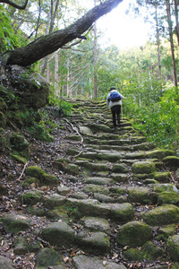 松本峠に続く石畳＝いずれも三重県熊野市で
