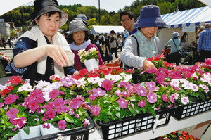 プランターに植えるため、気に入った花を選ぶ参加者＝塩尻市の小坂田公園で