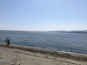 東岸から見た浜名湖。かつては田畑さんらが泳ぎ、現在はカップルらが楽しむ＝浜松市西区で