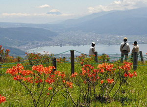 レンゲツツジの花と富士山、諏訪湖の景色を楽しむ観光客ら＝塩尻市郊外の高ボッチ高原で
