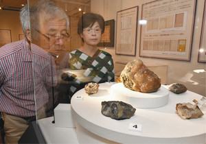 明治初期に県内で採取された鉱物標本＝立山町芦峅寺の立山博物館で