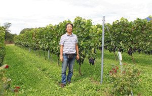 ブドウ畑に立つ「丘の上幸西ワイナリー」のオーナー、幸西義治さん＝長野県塩尻市で