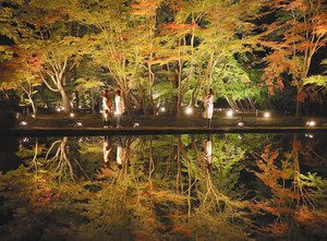 ライトアップされ鏡のように池に映る「逆さモミジ」＝土岐市の曽木公園で