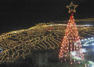 クリスマスツリーの電飾が登場した白米千枚田＝輪島市白米町で