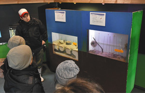 家族連れにネズミの生態を解説する飼育係（左奥）＝富山市古沢の市ファミリーパークで