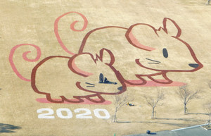 芝生の上に描かれたネズミの絵＝浜松市西区の浜名湖ガーデンパークで