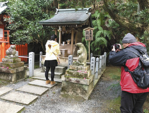 ２体のこまねずみの間で、大国社にお参りする参拝者ら＝京都市左京区の大豊神社で