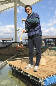 ヒオウギ貝などを釣り上げることができる体験施設＝志摩市浜島町で
