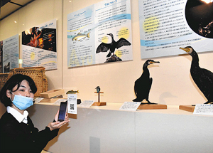 長良川鵜飼に関する資料が並ぶ会場＝岐阜市長良の長良川うかいミュージアムで