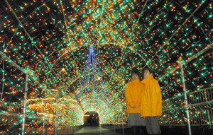 空から光が降ってくるような演出のイルミネーションのトンネル＝魚津市の遊園地ミラージュランドで