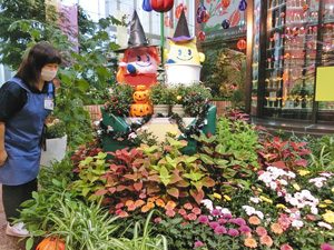 ハロウィーンのムードを盛り上げる秋の花の展示＝砺波市のチューリップ四季彩館で