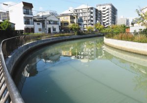 今も水路として残る環濠＝いずれも堺市堺区で