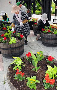 プランターに花苗を植え込む参加者ら＝砺波市花園町で