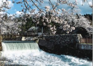 県内で初めて世界かんがい施設遺産に認定された常西合口用水＝富山市で（県提供）