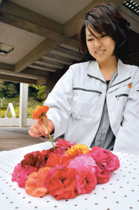 ラナンキュラスの花を挿し、切り花アートの展示方法を考える東海市職員＝市農業センターで