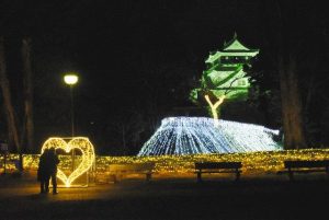 ライトアップされた岡崎城を引き立てるイルミネーション＝岡崎市康生町の岡崎公園で