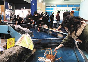 竹島水族館で、深海生物に触る来場者たち＝いずれも愛知県蒲郡市で