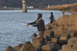 サクラマスを狙い、さおを振る釣り人たち＝福井市六日市町の九頭竜川高屋橋上流で