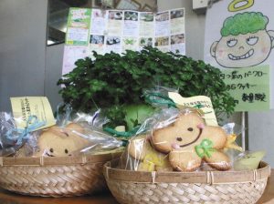 大久保豆腐店が販売する四つ葉の形をしたおからのクッキー＝田原市田原町で