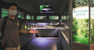 より多くのメダカを観賞できるようになった「世界のメダカ館」＝いずれも千種区の東山動植物園で