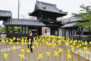 境内に飾られている黄色い風車＝伊賀市上野徳居町の広禅寺で
