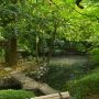 元和9年（1623）荒川の氾濫によりできたといわれる「玉の池」は熊谷市中心部を流れる星川の源流だ。