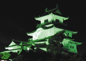 緑色にライトアップされた掛川城＝掛川市掛川で