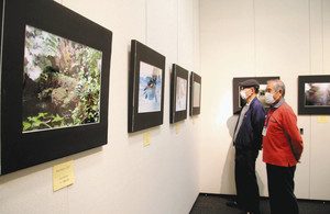豊川支部会員と国府高生徒の力作が並ぶ写真展＝豊川市桜ケ丘ミュージアムで