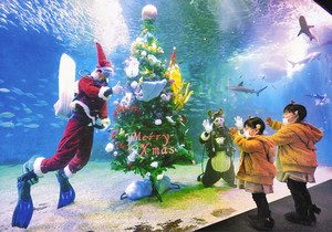 大水槽の中に登場したクリスマスツリーやサンタクロースとトナカイに手を振る子ども＝坂井市三国町の越前松島水族館で