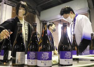 瓶詰めと箱詰めの作業が行われる「富山ブレンド」＝富山市の桝田酒造店で
