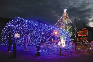 約７０００個の電飾が彩るアテの木とアーチ＝穴水町大町の防災広場で