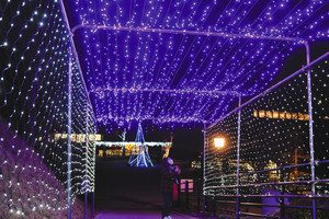 ３万個のＬＥＤ電球が輝く園内＝恵那市大井町の恵那峡公園で